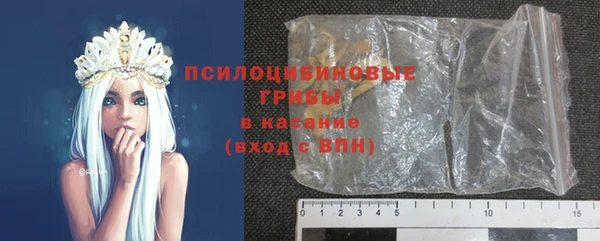 spice Абаза