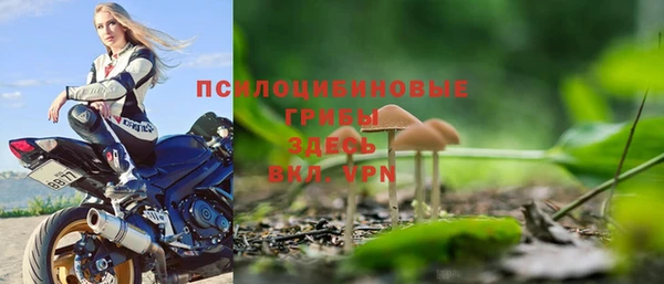 spice Абаза
