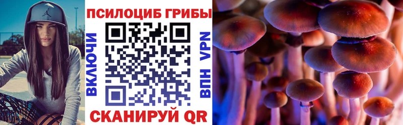 Галлюциногенные грибы Psilocybine cubensis  Чкаловск 